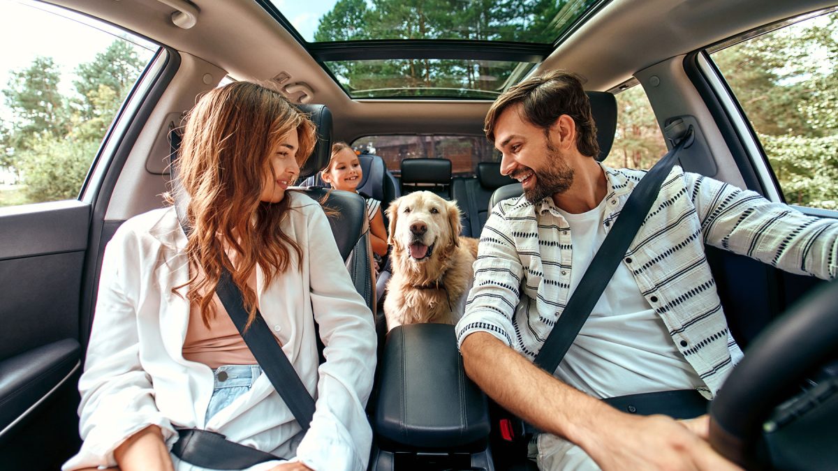 Traveling With Your Pet