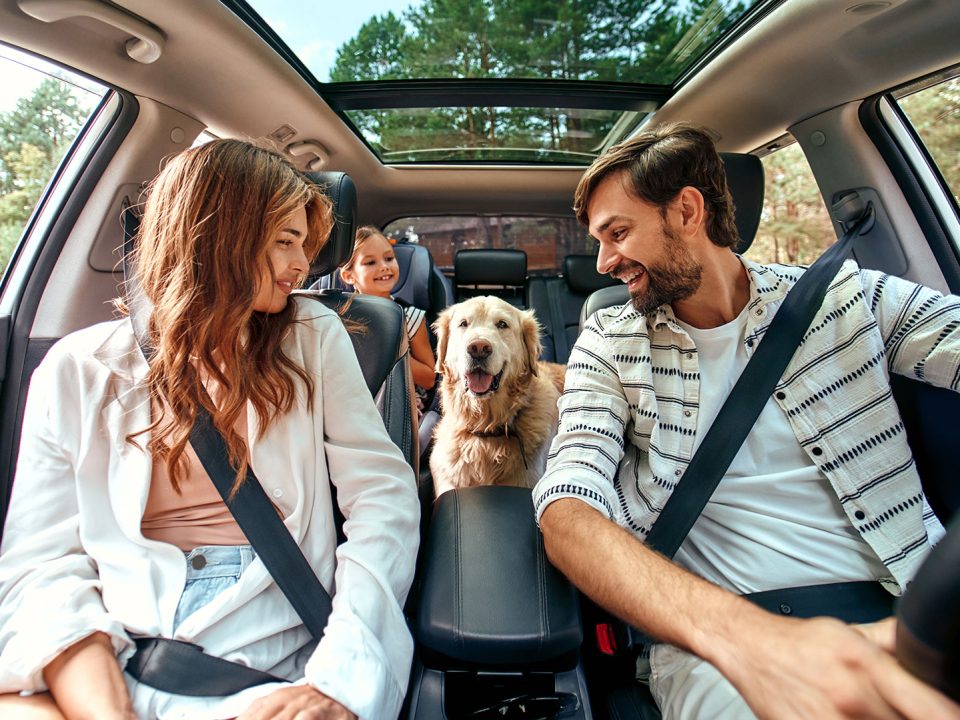 Traveling With Your Pet