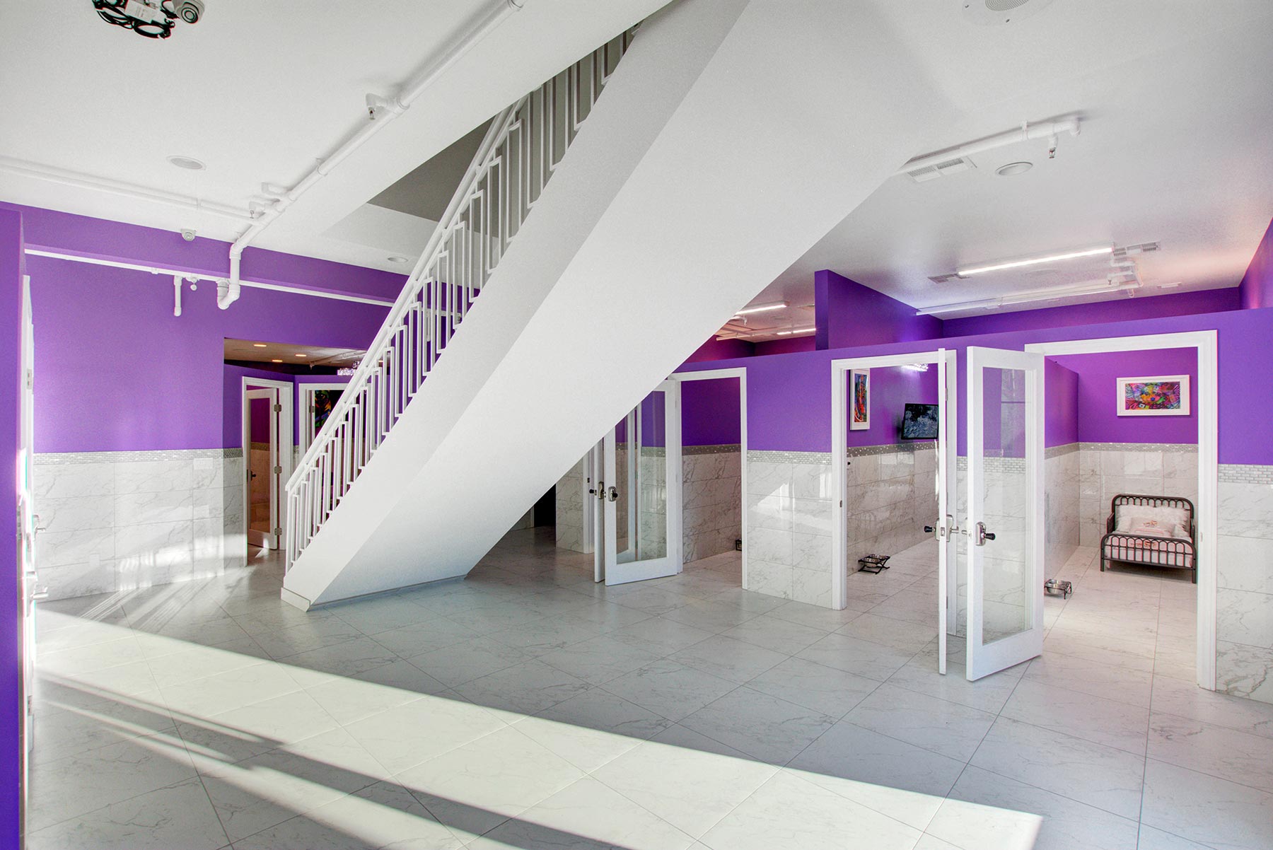 LV Dog Hotel 2
