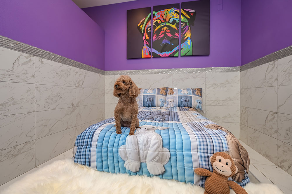 Mini Suite