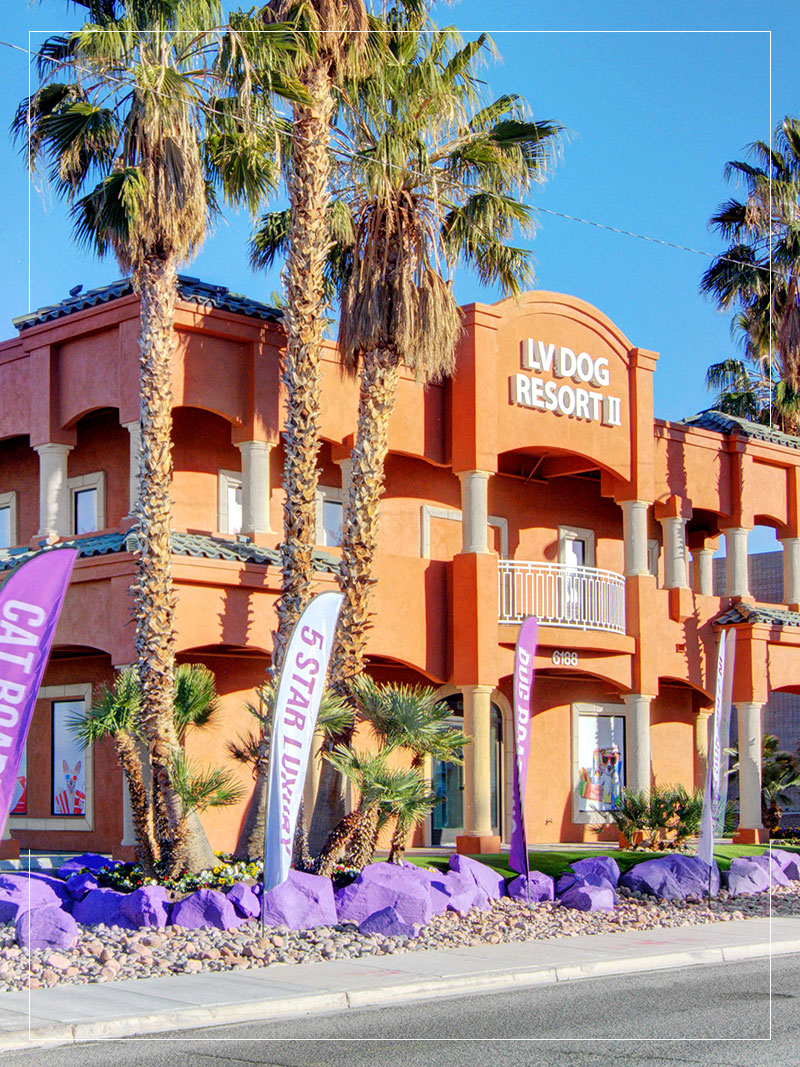 LV Pet Hotel